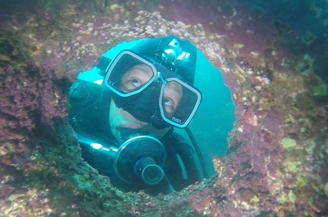 Diving excursion in Quintay - Why the guide support matters for beginners