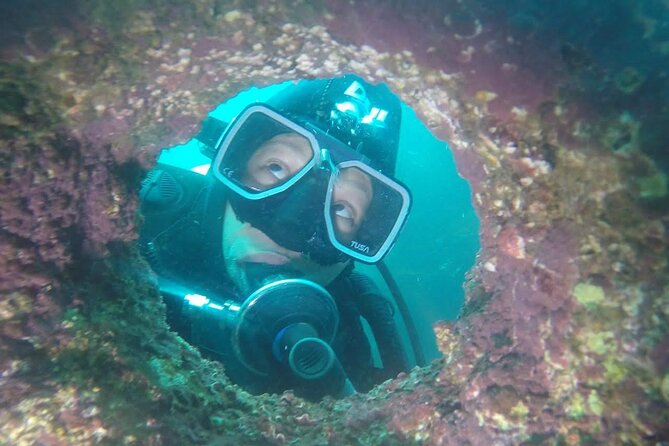 Diving excursion in Quintay - Coastal wildlife and the short walk after the water