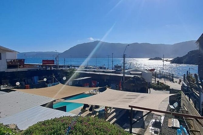 Diving excursion in Quintay - Outdoor catering, wine, infusions, and a personal keepsake