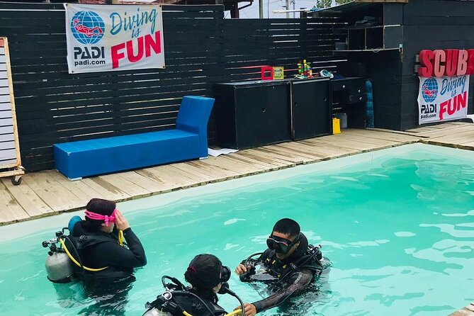 Diving excursion in Quintay - Who will enjoy this outing most?
