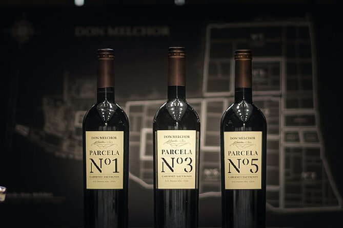 Don Melchor Premium Wine tour - Seeing Don Melchor aging in French oak