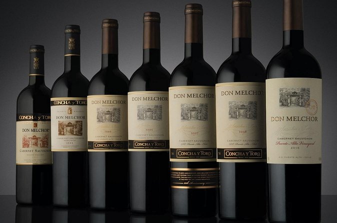 Don Melchor Premium Wine tour - Tasting the Puente Alto vineyard parcel by parcel