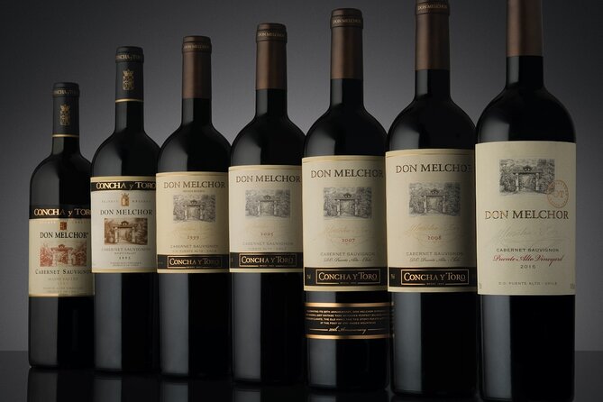 Don Melchor Premium Wine tour - Is $300 a fair price?