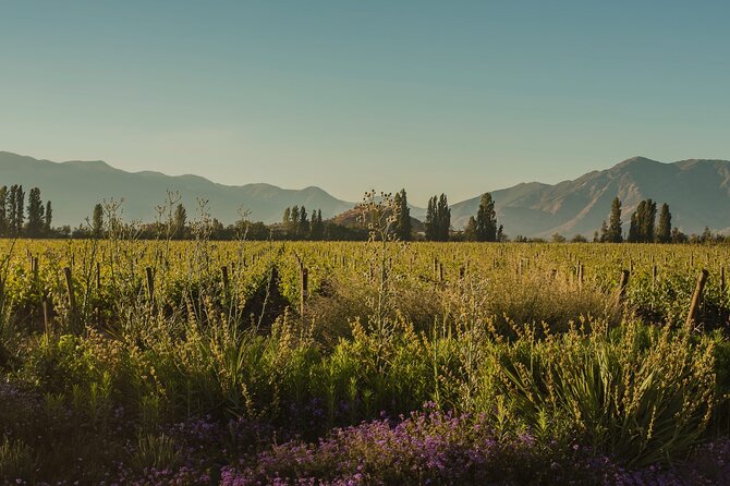 Don Melchor Premium Wine tour - Entering the summer house with its original décor
