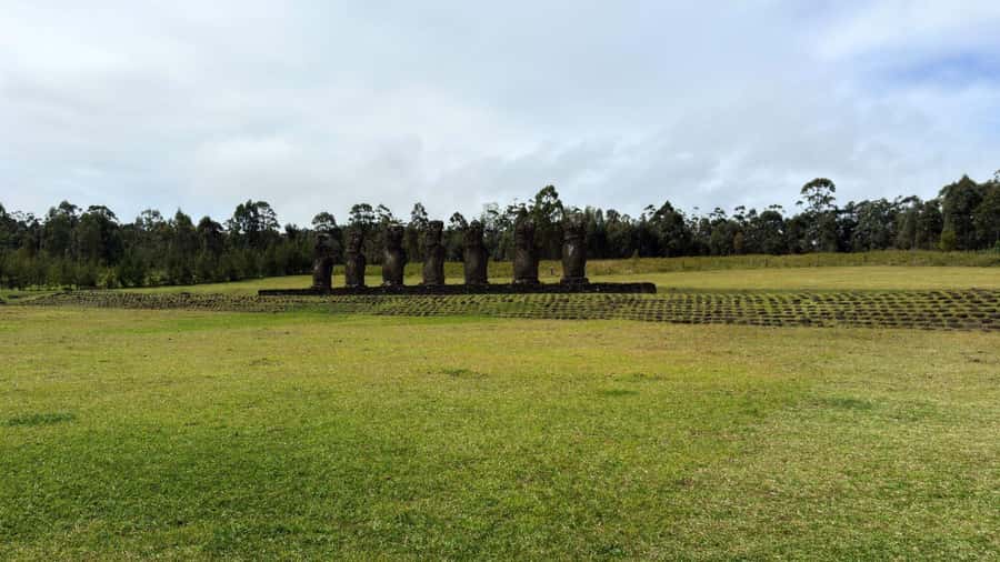 Easter Island: Half-Day Archaeology Tour - Key points at a glance