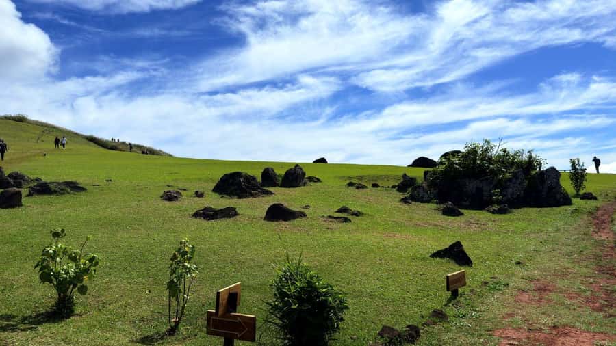 Easter Island: Half-Day Archaeology Tour - How to prepare for the three hours