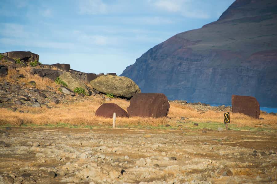 Easter Island Private Tour: Majestic Megaliths South & East - Rano Raraku, where the moai were carved