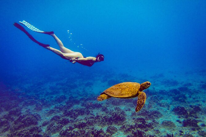Easter Island Snorkeling on Coral Reefs - A gentle start for first-time snorkelers