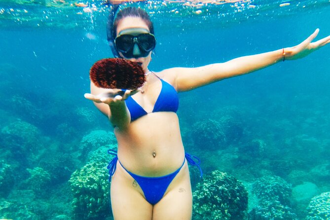 Easter Island Snorkeling on Coral Reefs - The underwater video is a useful extra