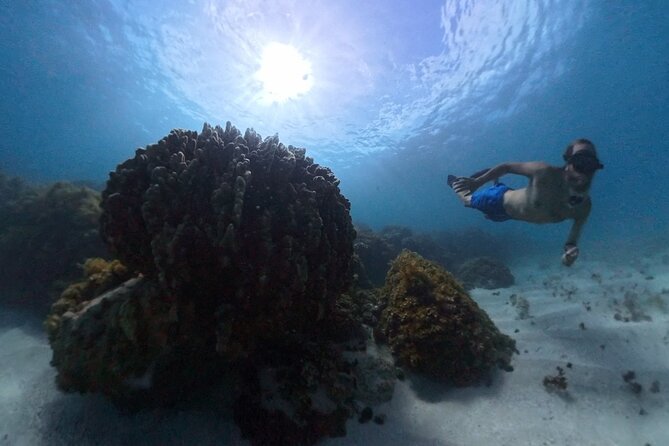 Easter Island Snorkeling on Coral Reefs - Who will enjoy this trip most?