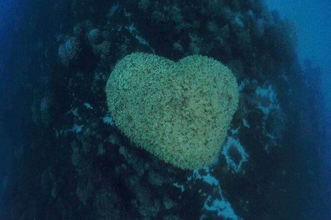 Easter Island Snorkeling on Coral Reefs - What to bring and how to plan your day