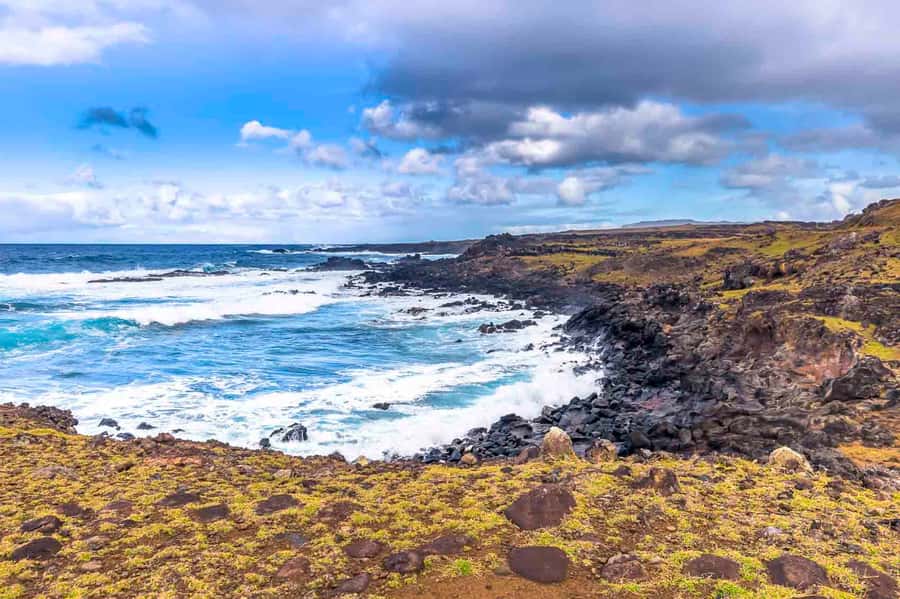 Easter Island: The Moai Trail Private Archeological Tour - What the guide adds to the experience