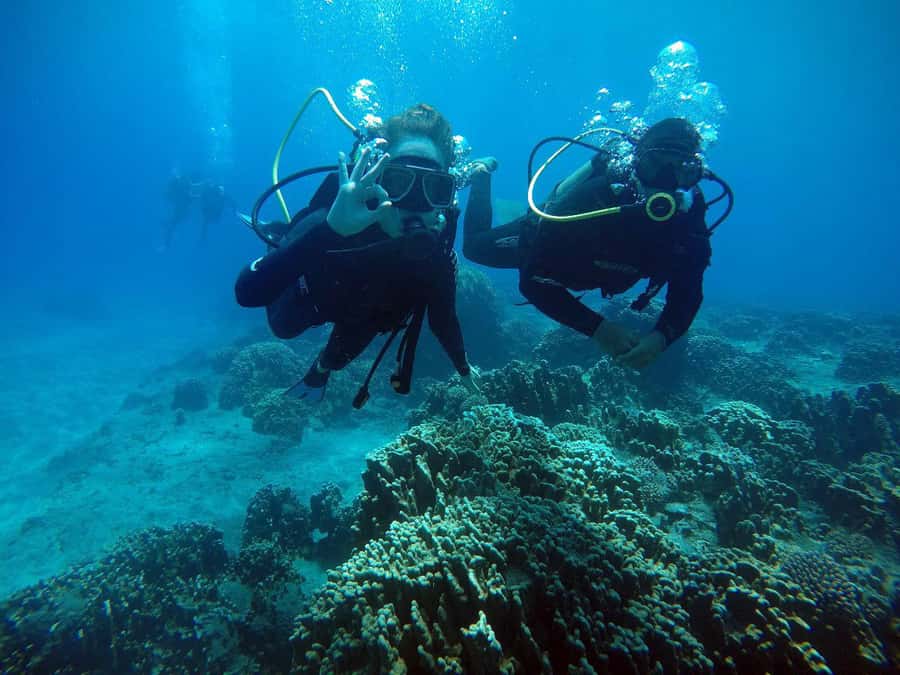 Easter Island: Tropical Diving - Key points about this Rapa Nui scuba outing
