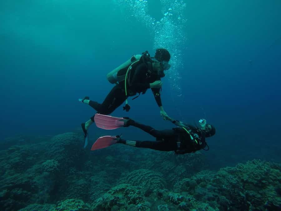 Easter Island: Tropical Diving - Starting at Hanga Piko Cove