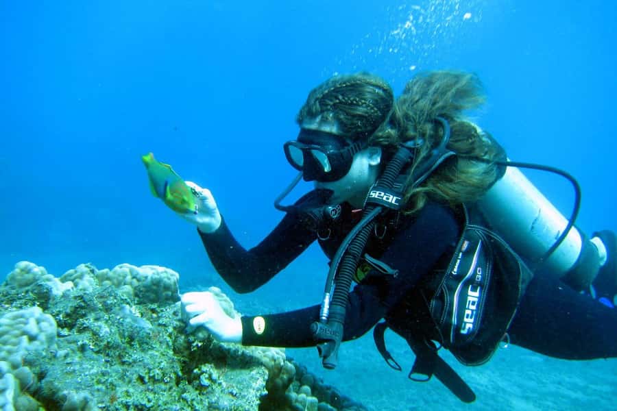 Easter Island: Tropical Diving - The transfer from Hanga Piko to the site