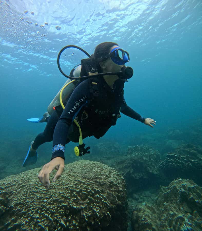 Easter Island: Tropical Diving - What the guide support is really worth
