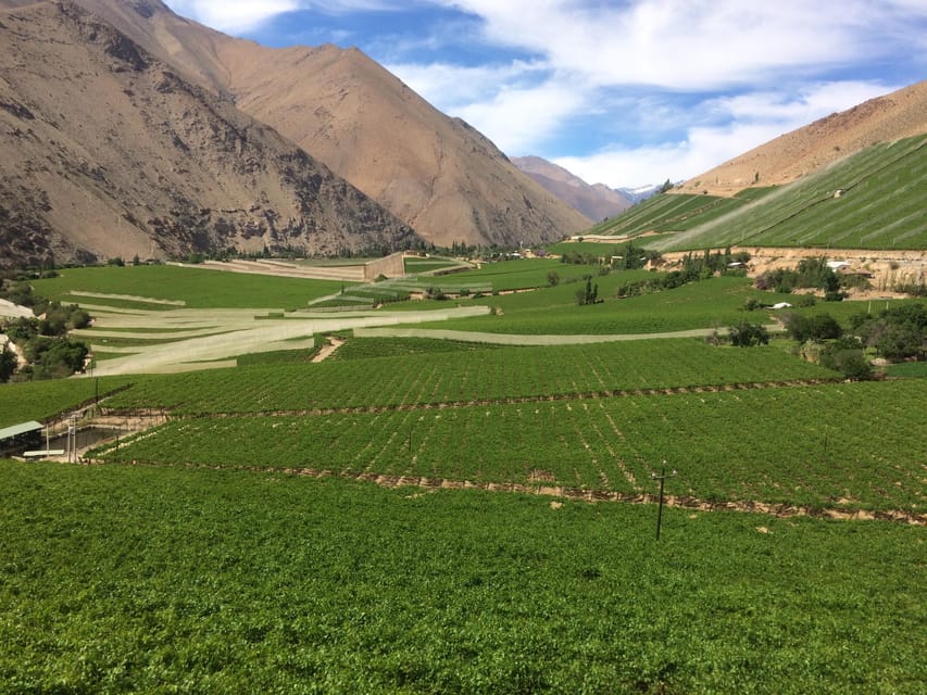 Elqui Valley Ancestral Wines, Piscos, Food and Monuments - Vicuña, Gabriela Mistral, and the cultural heart of the valley