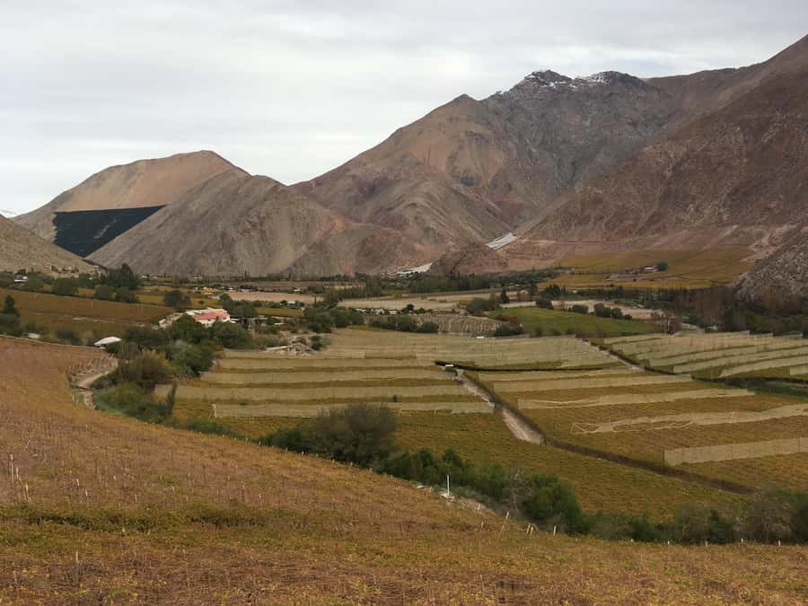 Elqui Valley Ancestral Wines, Piscos, Food and Monuments - A regional lunch in Villaseca