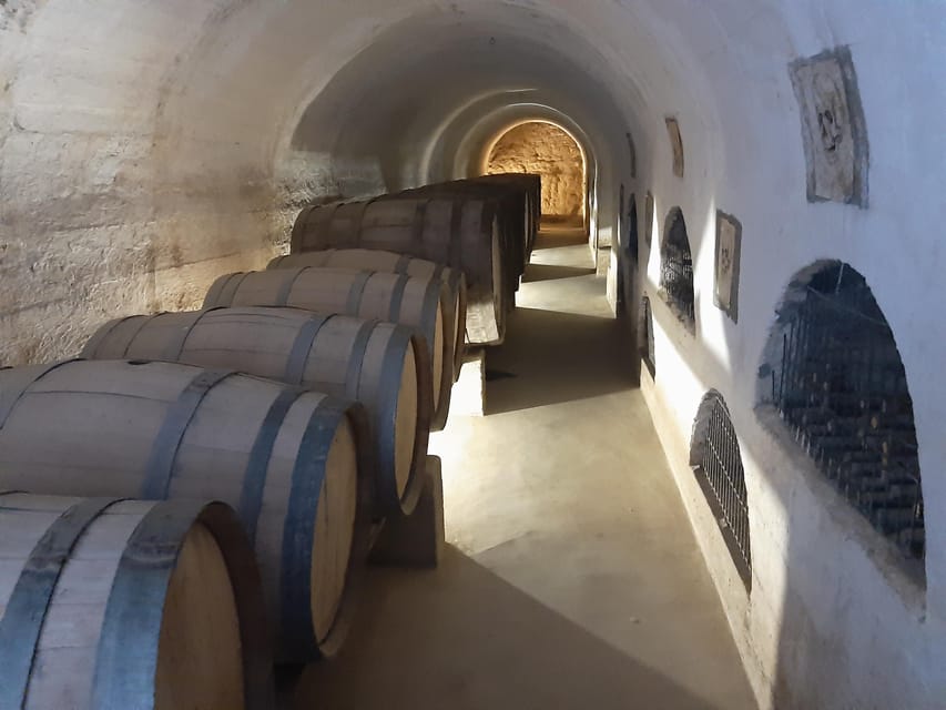 Elqui Valley Ancestral Wines, Piscos, Food and Monuments - Paihuano and the road toward Pisco Elqui