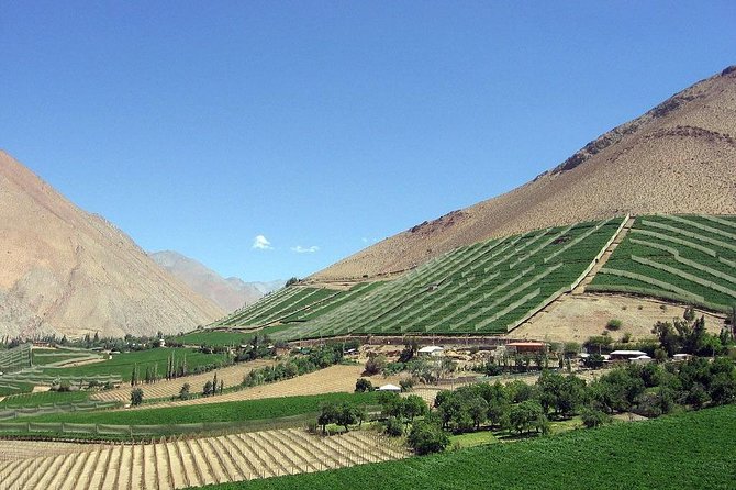 Elqui Valley and Vicuna Private Tour Including Lunch - Why the Elqui Valley Makes a Good Half-Day Escape