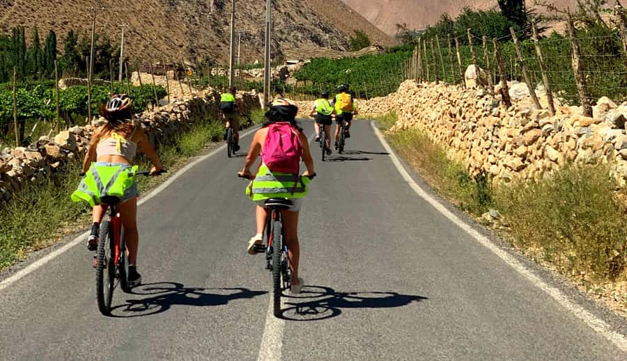 Elqui Valley: Bike Tour - A craft stall and the small details that make the ride local