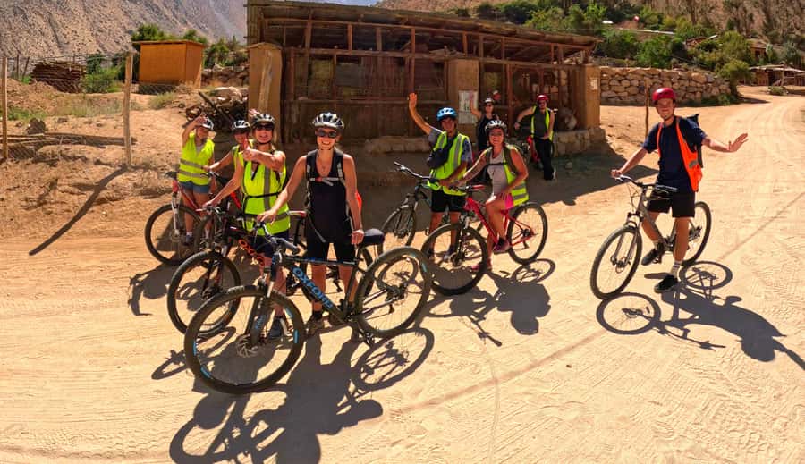 Elqui Valley: Bike Tour - Riding 16 to 17 kilometers through the Elqui Valley