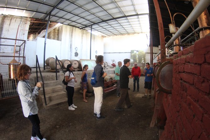 Elqui Valley - Short Excursion for Cruise Trips - Viña Falernia and the final taste of the valley