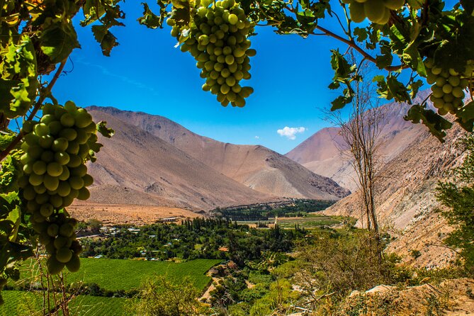 Elqui Valley : Special for Cruises from Port in Coquimbo - Key points at a glance