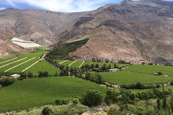 Elqui Valley : Special for Cruises from Port in Coquimbo - From Coquimbo Port Into the Elqui Valley