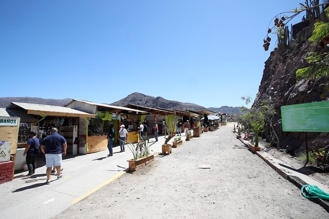 Elqui Valley : Special for Cruises from Port in Coquimbo - Paihuano and the Quiet Side of the Valley