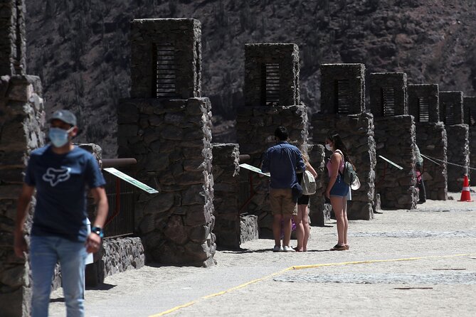 Elqui Valley : Special for Cruises from Port in Coquimbo - Lunch on the Road, Not a Long Restaurant Break