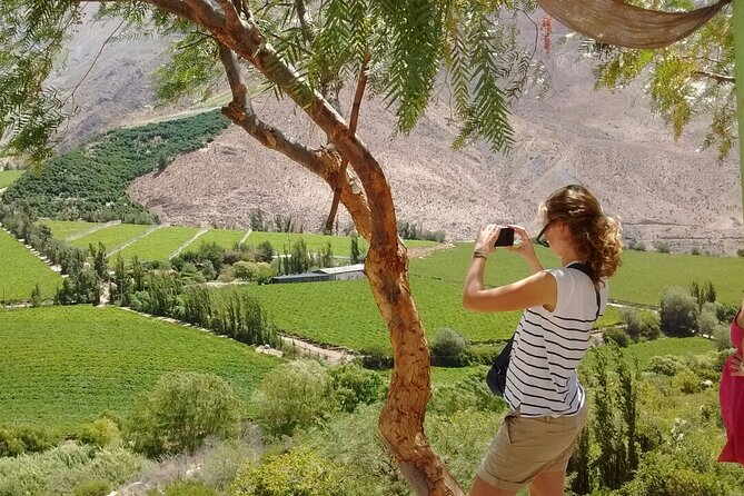 Elqui Valley Tour: History and Flavors (NOT FOR CRUISES) - Puclaro Reservoir: the valley’s water story
