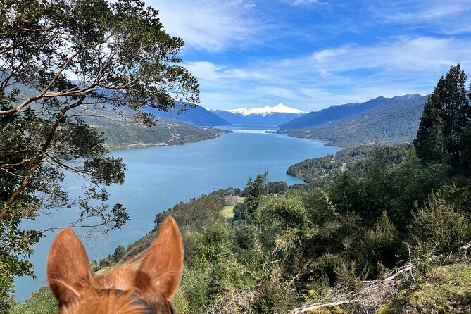 Esperanza Valley Horse ride. - Key points at a glance