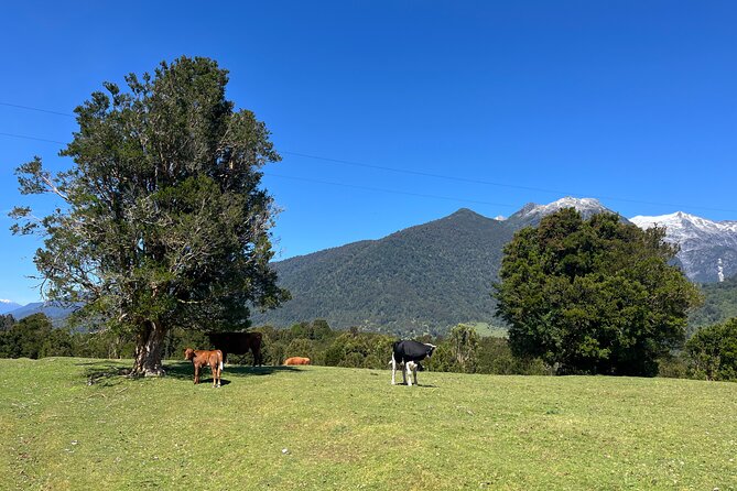 Esperanza Valley Horse ride. - Returning by another route