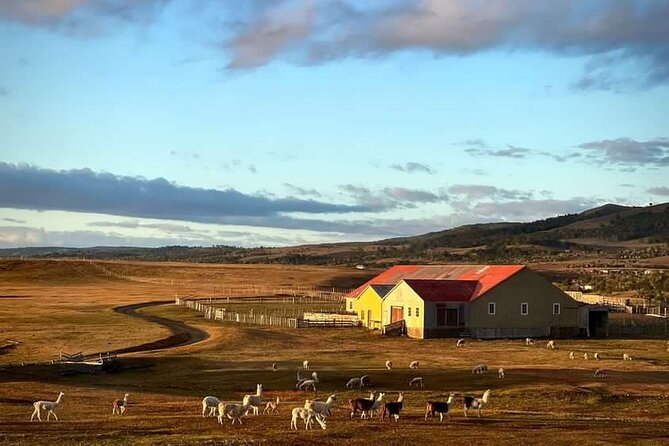 Estancia ,de la comuna de Laguna Blanca - Key points before you book