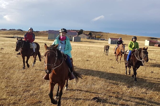Estancia ,de la comuna de Laguna Blanca - Leaving Punta Arenas for Laguna Blanca