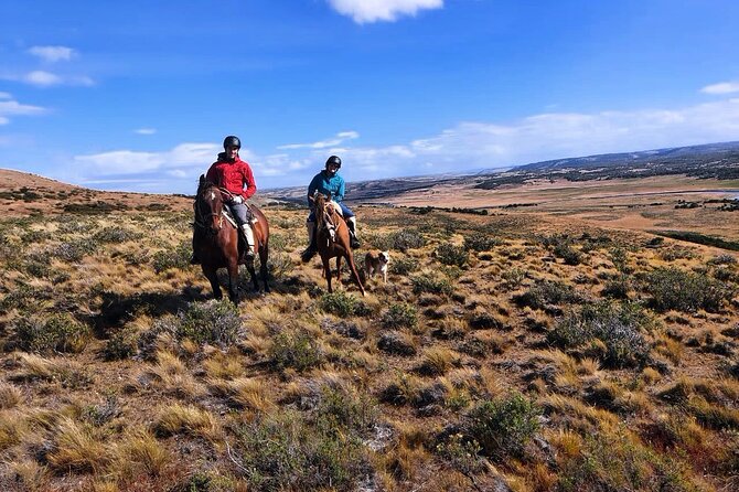Estancia ,de la comuna de Laguna Blanca - Cruise passengers need a precise plan