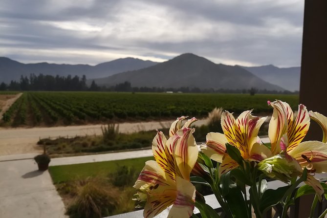 Exclusive wineries in Casablanca Valley & Tanino Restaurant - Tanino Restaurant, the reason to budget extra