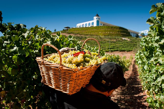 Exclusive wineries in Casablanca Valley & Tanino Restaurant - Bodegas RE, clay jars, and a different way to make wine