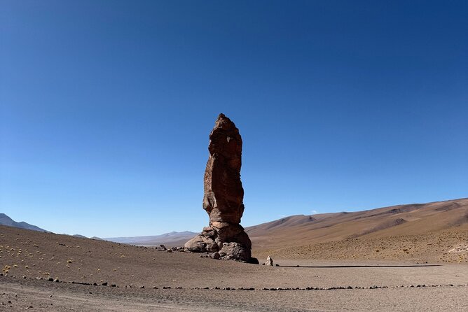 Expedition to Ruta de los Salares + Culinary Delights - Salar de Quisquiro: salt, birds, and open space