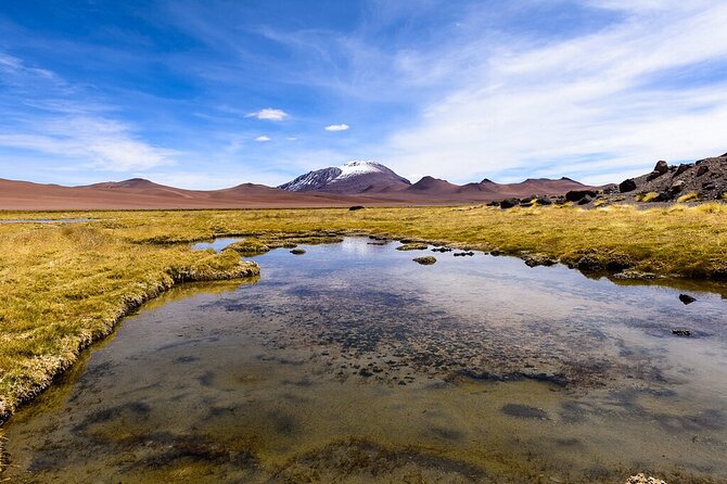 Expedition to Ruta de los Salares + Culinary Delights - Guides, drivers, and the quality of the commentary