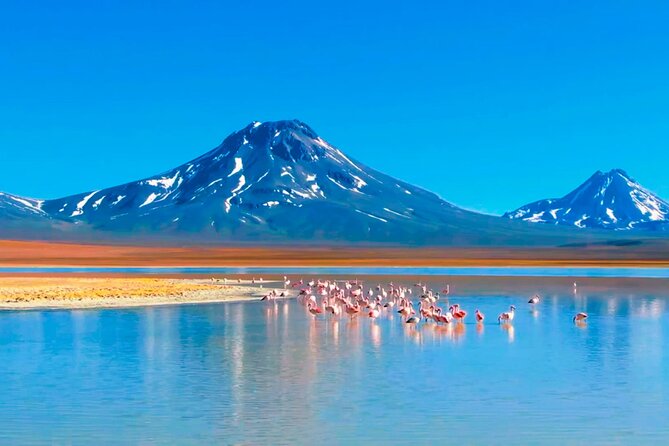 Expedition to Ruta de los Salares + Culinary Delights - Who will enjoy this route most?