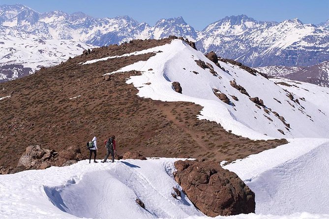 Experience Wildlife Encounter in Provincia Mountain of Chile. - Key points to know before you book