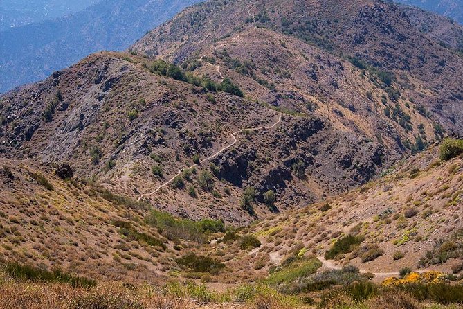 Experience Wildlife Encounter in Provincia Mountain of Chile. - Santiago views that grow wider with every step