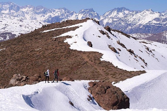 Experience Wildlife Encounter in Provincia Mountain of Chile. - What the included services are worth