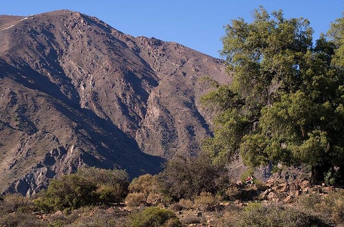 Experience Wildlife Encounter in Provincia Mountain of Chile. - Choosing the best season for Cerro Provincia