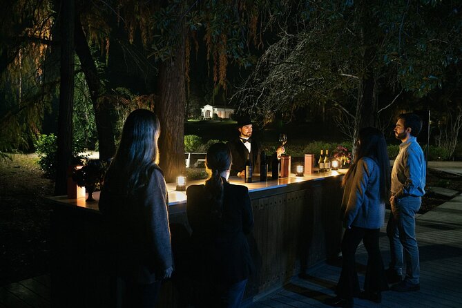 Experiencia Nocturna Casillero del Diablo + Cena - Key points to know before you go