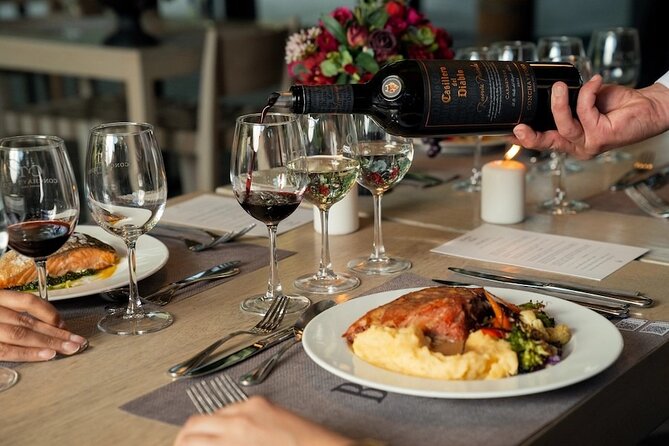 Experiencia Nocturna Casillero del Diablo + Cena - Why this nighttime winery visit feels different
