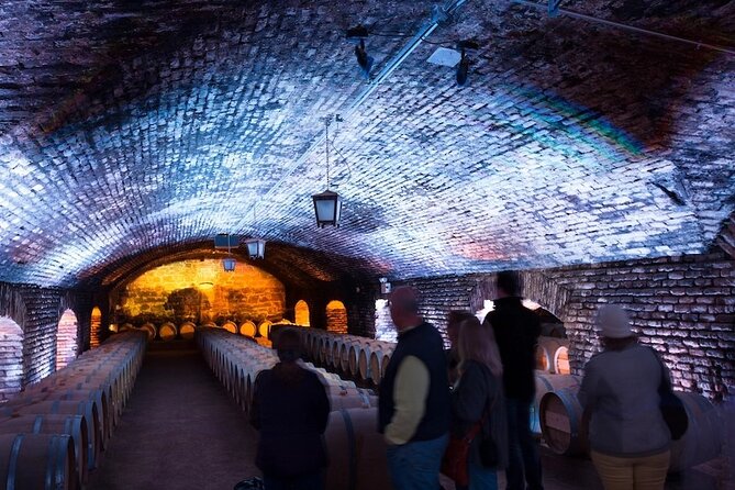 Experiencia Nocturna Casillero del Diablo + Cena - Who should book this evening?