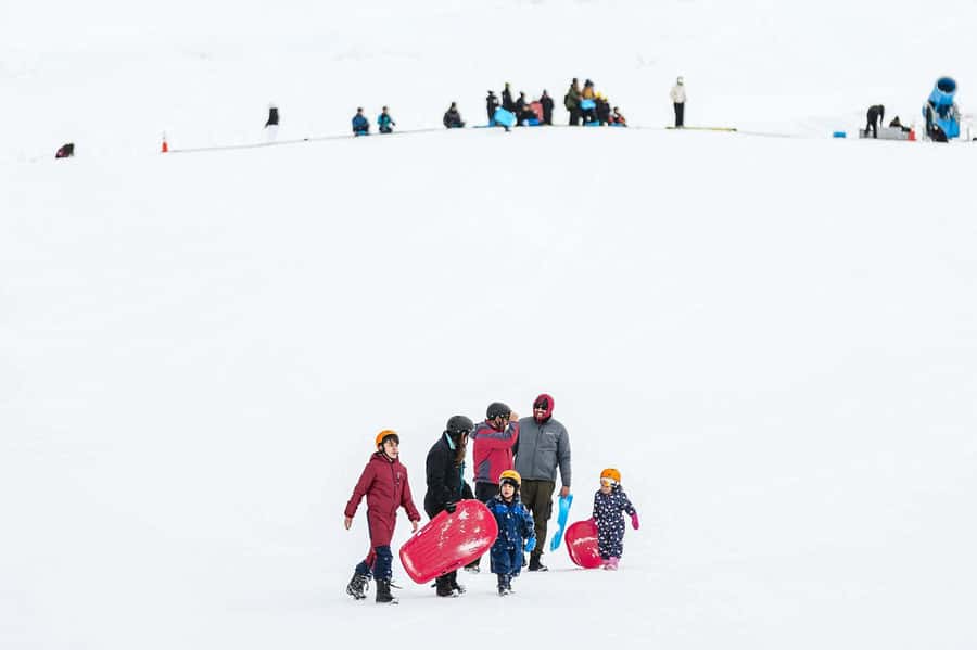 Farellones Park Tour: Snow Adventures - Who will enjoy this Farellones day trip?